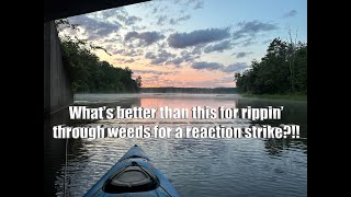 Largemouth Bass Fishing at Gifford Pinchot State Park [upl. by Ellenwahs]