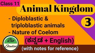 in Kannada Class 11Animal KingdomPart 3  Diploblastic amp Triploblastic animals Nature of Coelom [upl. by Grani486]