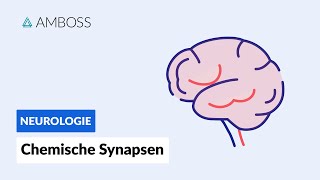 Funktionsweise chemischer Synapsen  Biochemie  AMBOSS Video [upl. by Fiester]