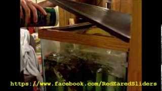 How to Get Your Red Eared Slider to Eat Vegetables [upl. by Eiralav772]