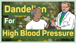 Benefits of DANDELION for HIGH BLOOD PRESSURE [upl. by Ahsratal]