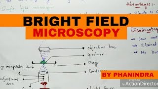 Bright Field Microscopy  Principle  Working  Advantages and disadvantages [upl. by Mauceri]