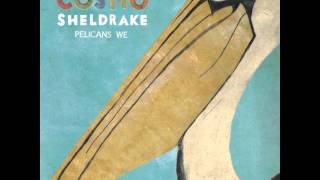 Cosmo Sheldrake  Pelicans We [upl. by Lemraj]