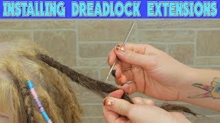 Installing Dreadlock Extensions  What What [upl. by Studdard290]