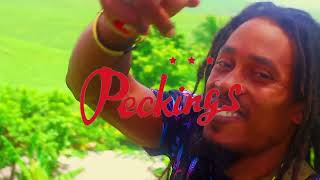 Ras Kaneo  Smoking Ganja Official Music Video [upl. by Ybur]