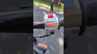 Honda Ruckus Review 2024 [upl. by Schacker392]