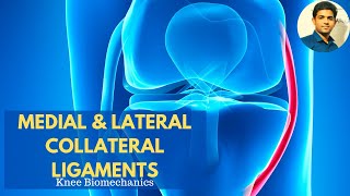 MEDIAL amp LATERAL COLLATERAL LIGAMENTS  Anatomy amp Biomechanics applied [upl. by Eidde878]