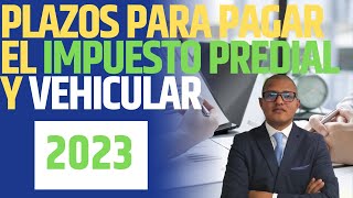 PLAZOS para pagar el IMPUESTO predial y vehicular en el 2023 [upl. by Esyla]