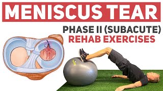 Meniscus Tear Rehab Phase II Rehab Exercises [upl. by Nosliw]