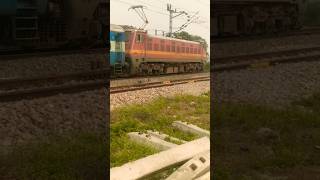 Wap 4 loco gorakhpur express🇮🇳🇮🇳🇮🇳🇮🇳 indian railways train locomotive [upl. by Sauers]