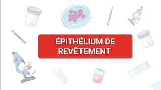 HISTOLOGIE🔬 ÉPITHÉLIUM DE REVÊTEMENT1ÈRE ANNÉE 🩺💊🦷 [upl. by Bollay]