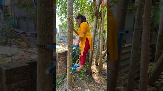 Arecanut tree climbing machineBettel nutArecanut harvesting Call for Machine 8250005731 [upl. by Angela483]