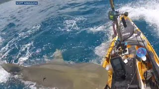 Video shows shark attacking kayak off coast of Hawaii [upl. by Alel895]