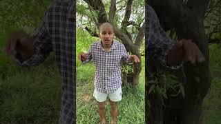 आप बहुत सुंदर हो 😂🤣yadavsikku realfools funny funnyvideo ytshorts explore [upl. by Irual]