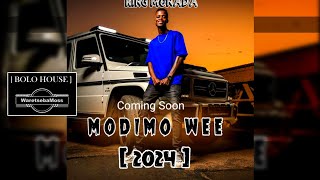 King Monada MODIMO WEE  Coming soon  2024 [upl. by Eimarej]