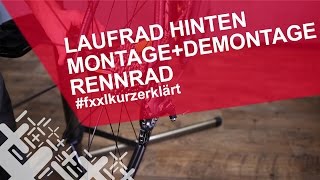 Rennrad Hinterrad ausbauen amp einbauen  fxxlkurzerklärt [upl. by Dex]