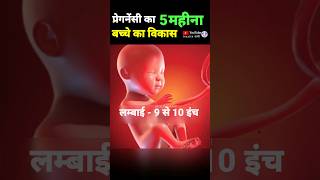 प्रेगनेंसी का 5 महीने  fifth month of pregnancy foetaldevelopment pregnancy [upl. by Tristan]