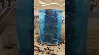 Jeddah international Airport trending trevalvlogs saudiarabia [upl. by Iosep]