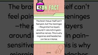 🤕 Where Brain Pain Begins—Do You Know the Spot mededtrivia brainteasers brainfacts smarttrivia [upl. by Charmion303]