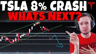 TESLA Stock  TSLA Crashes 8 [upl. by Oivat602]