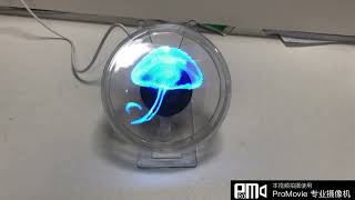 Mini 3D Hologram Projector Fan can support display music [upl. by Gretchen]