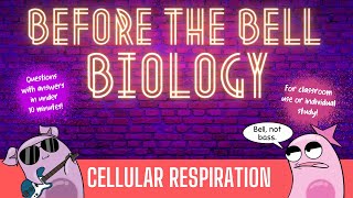 Cellular Respiration Before the Bell Biology [upl. by Leda]