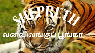 Shepreth Wildlife Park ஷெபர்த் வனவிலங்குப் பூங்கா Prem Thamizhachi4k [upl. by Kciwdahc]