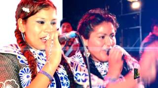 Yovanita Enriquez  Mi Mala Suerte► Primicia 2017 ► RL Rosalinda Producciones [upl. by Barnes]