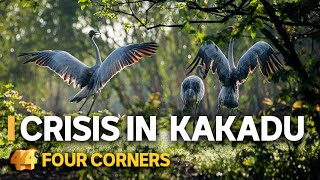 Kakadu in crisis Traditional owners threaten to close Australia’s biggest national park [upl. by Peedus]