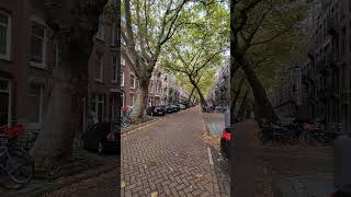 X Tree Street Lomanstraat Amsterdam Netherlands Instagram Amsterdam Netherlands trees Holland [upl. by Roel372]