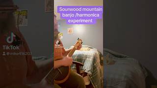 Sourwood banjo with rack harmonica accompaniment banjomusic harmonica [upl. by Pudens18]