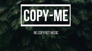 Little Things Niwel CopyMe No Copyright Music [upl. by Ciro]