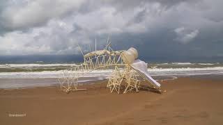 Strandbeest Hovering [upl. by Evelyn389]