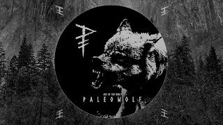 Paleowolf Age of the Wolf compilation  Dark prehistoric tribal ambient [upl. by Cyd199]