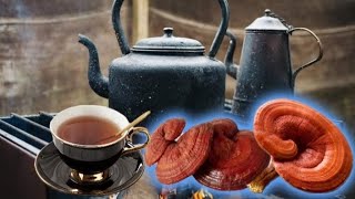 Reishi MushroomTraditional Medicine [upl. by Notsecnirp]