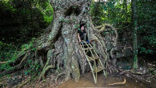 Emergency Shelter Under a Large Tree  Make a Bed Inside the Tree An vs Wild Part 1 [upl. by Cheung]