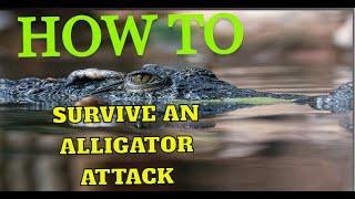 Surviving Alligator Attacks A Comprehensive guide [upl. by Teemus910]