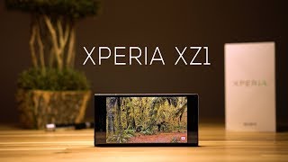 Sony Xperia XZ1 Review  Over 30 Days Later [upl. by Ludovick]