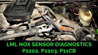 LML DURAMAX NOX SENSOR DIAGNOSIS FOR P2203 P2202 AND P11CB [upl. by Zerimar610]