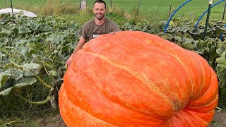 Giant Pumpkin QampA with Brian Turner [upl. by Atinram255]