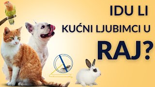 Idu li kućni ljubimci u raj Dario Kovačević [upl. by Ltsyrk]