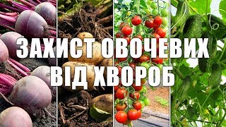 Захист овочевих культур від хвороб Безпечні біофунгіциди для овочів [upl. by Ynamad80]