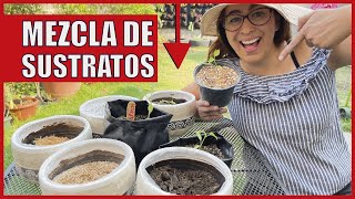 5 MEZCLAS de SUSTRATOS para tu huerto 🍎 Hortalizas y Germinación🌱 [upl. by Bazil]