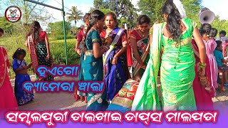 Samalpuri Dalkhai Dance Malpada ❤️ Haego Camera Bala 🌹ହଏଗୋ କ୍ୟାମେରା ଵାଲା [upl. by Finn849]