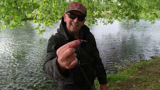 88 A Day Stalking at Avington Trout Fishery [upl. by Yor]