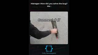 Manager How did you solve the bugMe [upl. by Esorlatsyrc257]