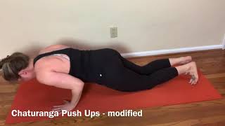 Chaturanga Push Ups Modified Exercise Demo [upl. by Misa548]