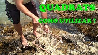 Método dos Quadrats  Prática e Construção [upl. by Lyris]