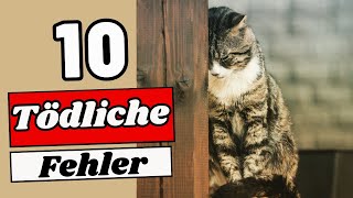 10 Gewohnheiten die Ihre Katze LANGSAM TÖTEN [upl. by Anire]