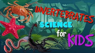 Invertebrates or Animals without Backbone  Science for Kids [upl. by Farmelo]